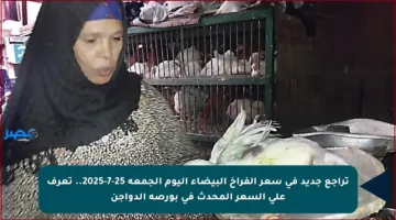 تراجع جديد في سعر الفراخ البيضاء اليوم الجمعة 25-7-2025.. تعرف على السعر المحدث في بورصة الدواجن